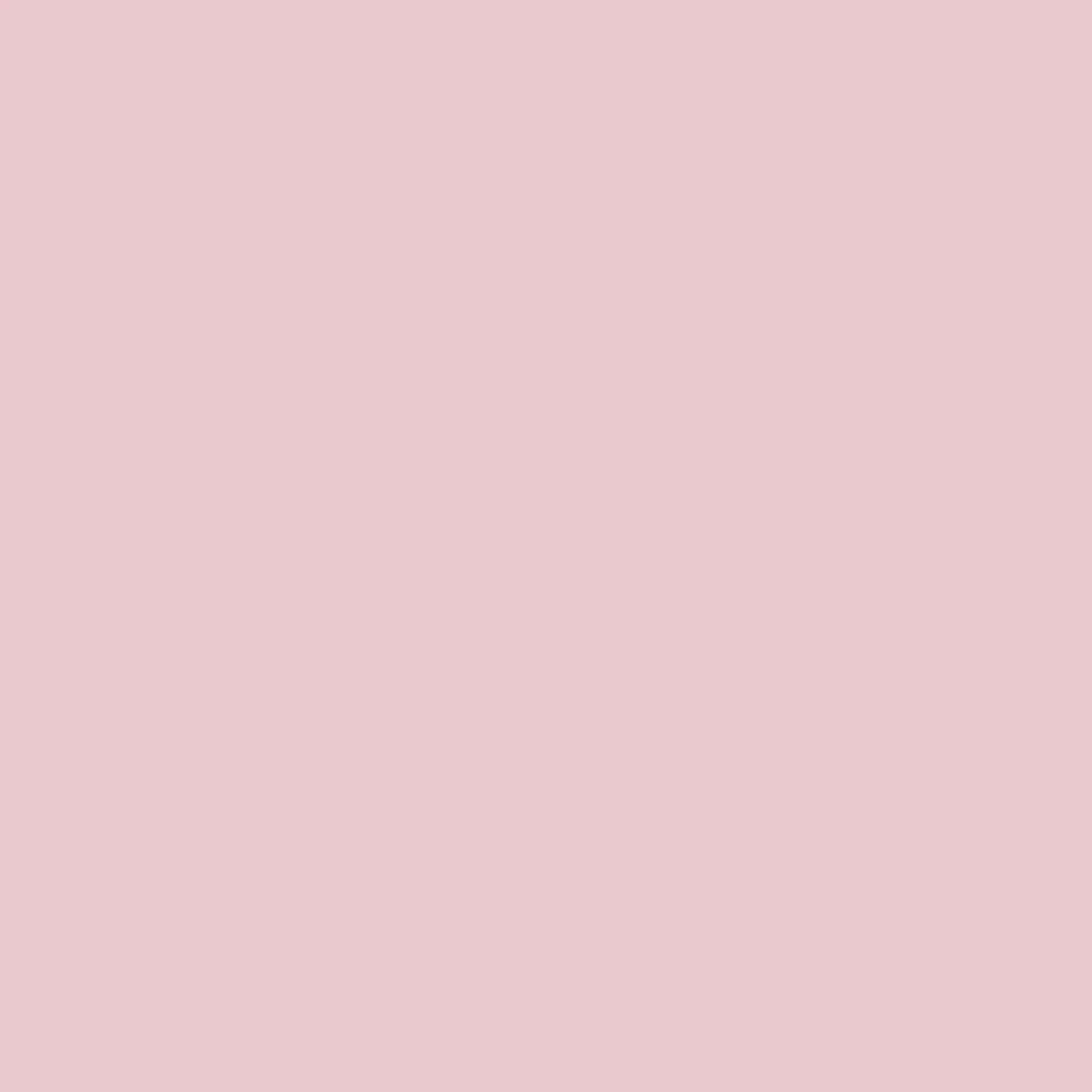 Eine satte hellrosa Farbe füllt das gesamte Bild ohne sichtbare Texturen, Muster oder Objekte.