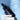 Serum Sparset